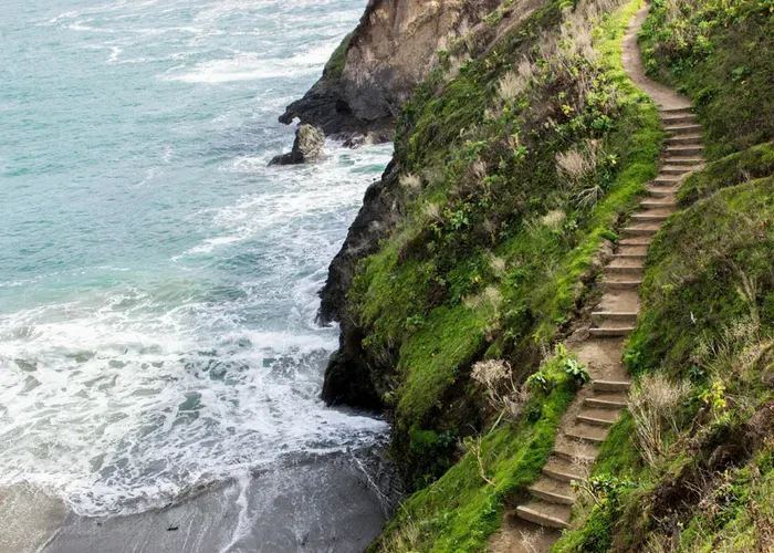 day trips from san francisco